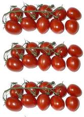 Tomaten3x10.jpg